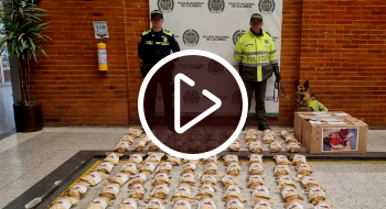 Video: Incautados 30 kilos de droga en fruta deshidratada en Bogotá