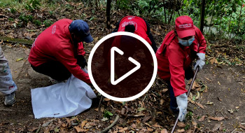 Video: Así se vivió la Primera Jornada de Amor por la Quebrada Las Delicias 🍃