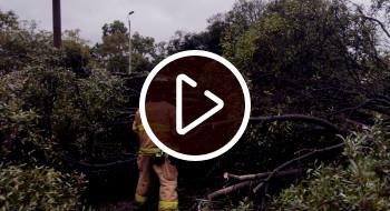 Video: Bomberos Bogotá ha atendido 493 emergencias durante temporada de lluvias