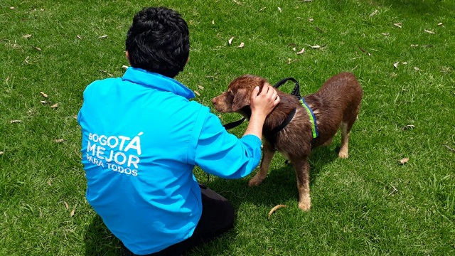 Atención habitantes de calle en Bogotá- Foto: Prensa Secretaría de Integración Social