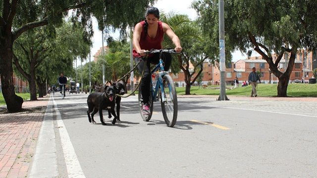 CicloRutas en Bogotá - Foto: Prensa IDU