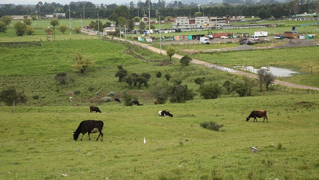 Actualidad de la reserva Van der Hammen – Foto: Comunicaciones Alcaldía Bogotá / Diego Bauman