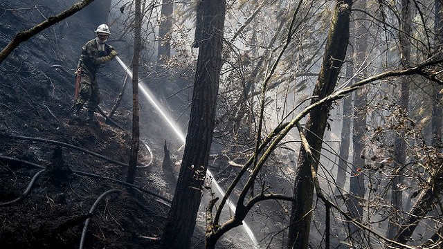 Con la plantación más grande del año se quiere recuperar los Cerros Orientales