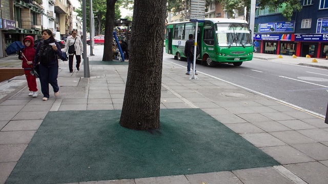 La instalación de un 'tapete' en grano de caucho se realizó para proteger a los árboles