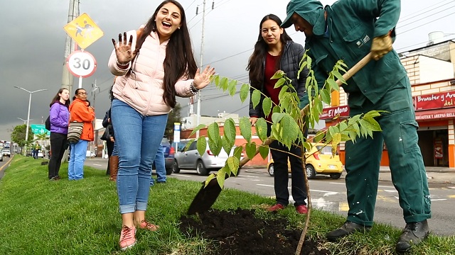 Se sembraron 120 árboles en la calle 63 - Foto: Jardín Botánico Bogotá