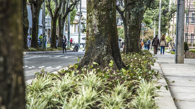 Jardínes por la llegada del papa - Foto: Jardín Botánico de Bogotá