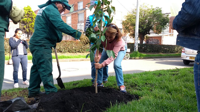 Plantación de árboles - Foto: Jardín Botánico de Bogotá