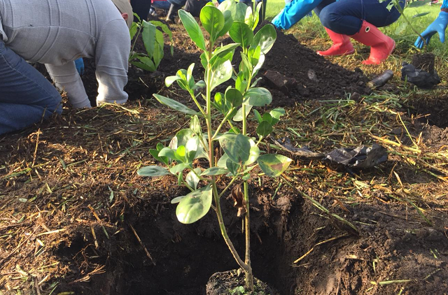 La última jornada se realizó en el humedal El Salitre y Juan Amarillo - Foto: Alcaldía Bogotá