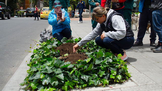 Jornada de plantación Avenida Novena - Foto: Jardín Botánico Bogotá