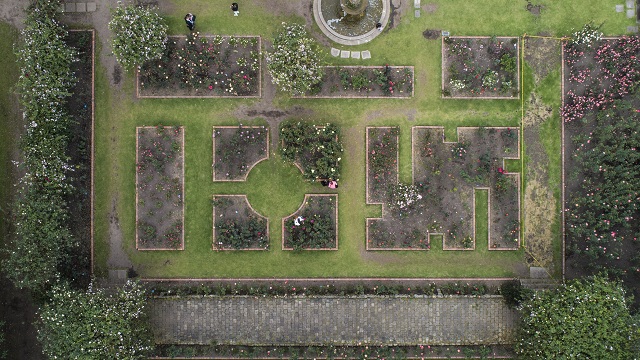 Rosaleda del Jardín Botánico de Bogotá - Foto: Jardín Botánico