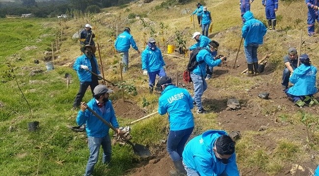 Acciones para reducir huella ecológica en el RDJ - Foto: Prensa Uaesp