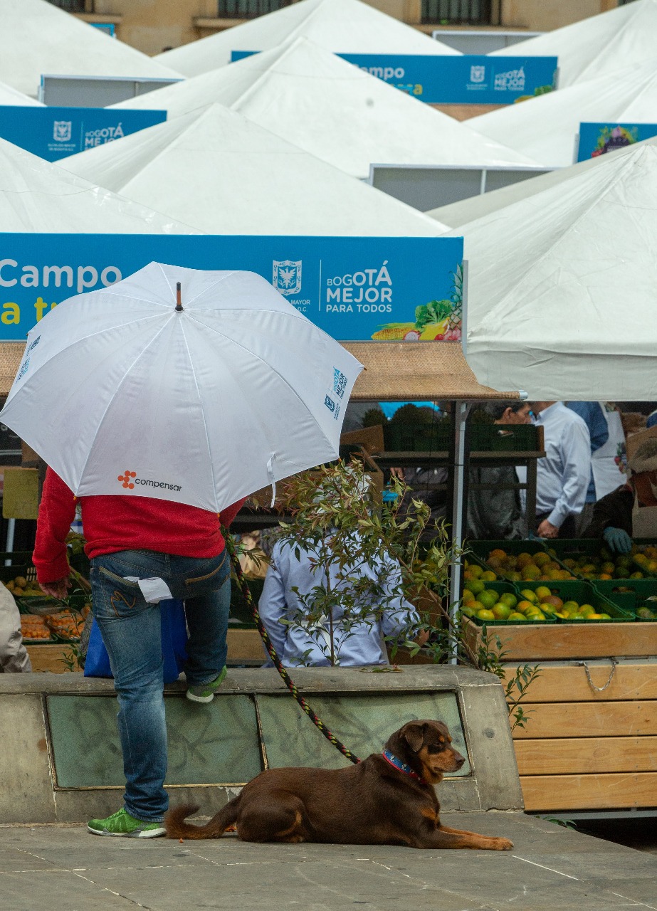 Consulta Mascotas Bogotá Abierta - FOTO: Consejería de Comunicaciones.