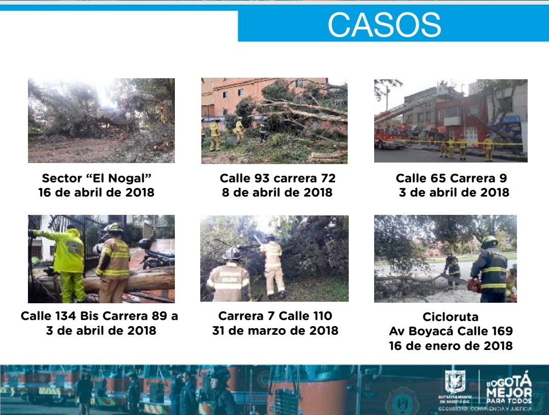 Emergencias por caída de árboles - FOTO: Prensa Bomberos de Bogotá