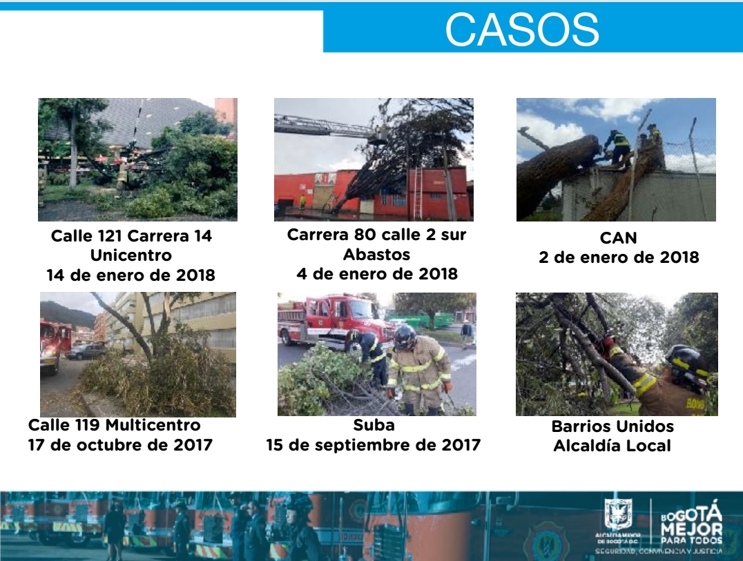 Emergencias por caída de árboles - FOTO: Prensa Bomberos de Bogotá