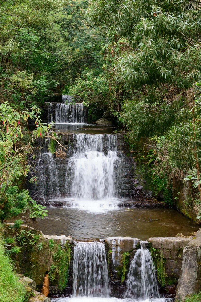 Sendero de San Francisco FOTO: Empresa de Acueducto