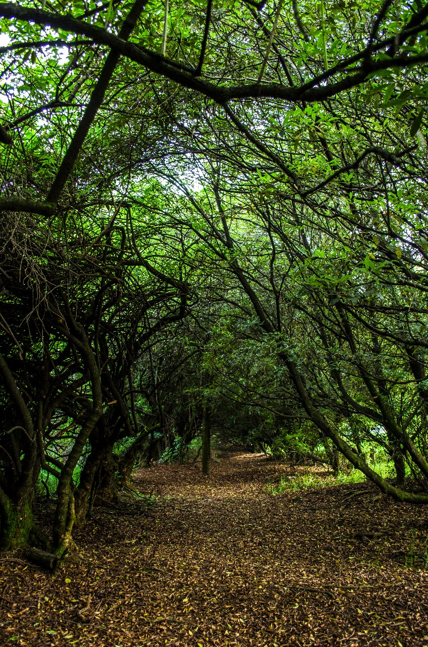 turismo de naturaleza- FOTO: Prensa IDT