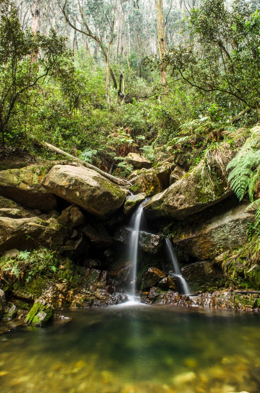 Turismo de naturaleza- FOTO: Prensa IDT