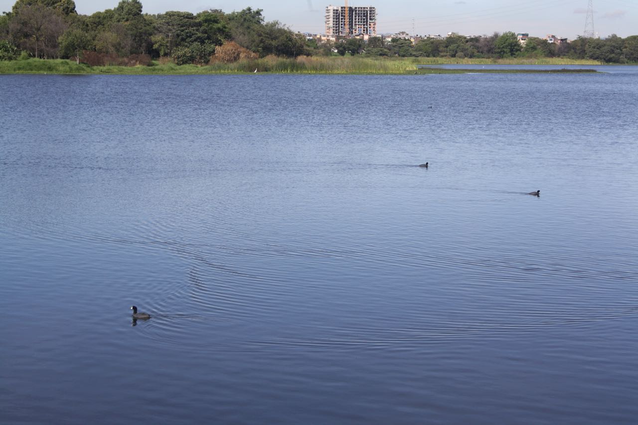 Humedales de Bogotá ingresan oficialmente a la lista RAMSAR - FOTO: Prensa Ambiente