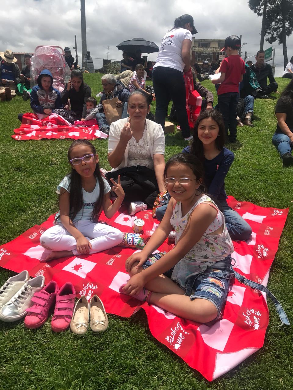 Picnic 'Bogotá al parque' - FOTO: Consejería de Comunicaciones 