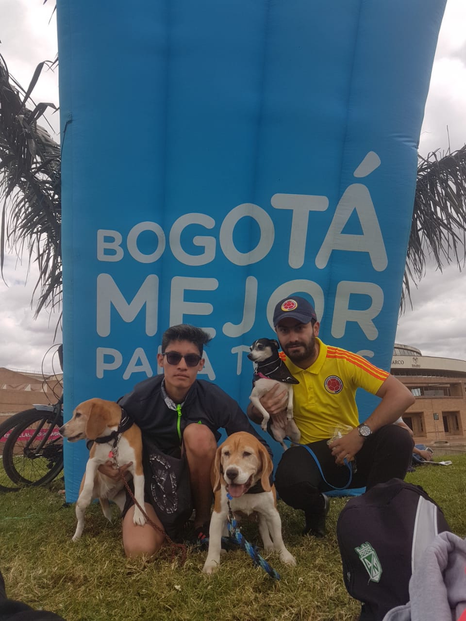 Picnic 'Bogotá al parque' - FOTO: Consejería de Comunicaciones 