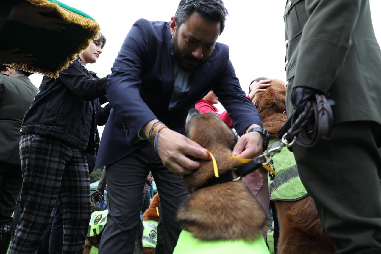 Condecoración perros y caballos - FOTO: Consejería de Comunicaciones