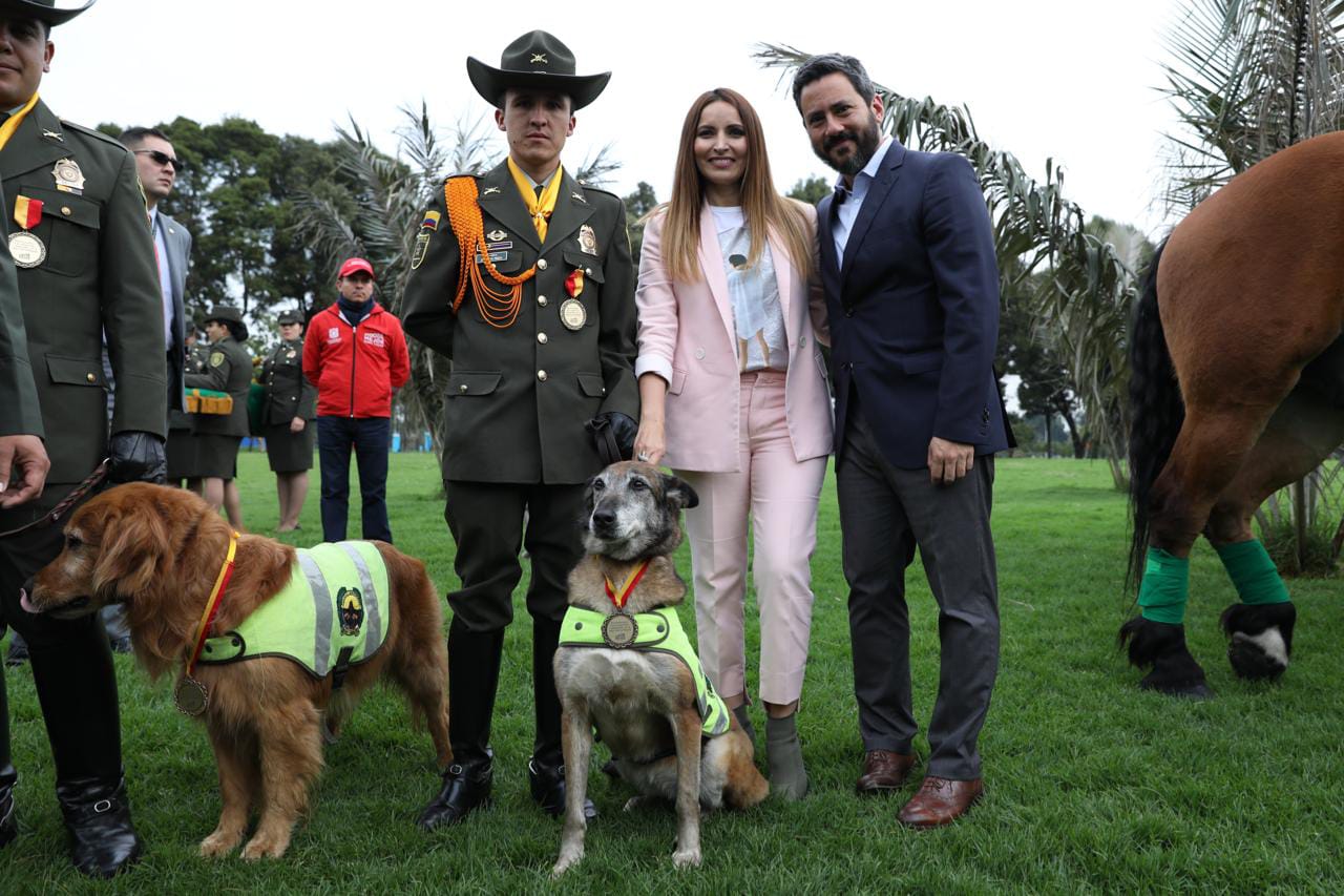 Condecoración perros y caballos - FOTO: Consejería de Comunicaciones