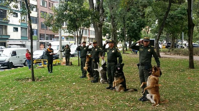 Jornada de vacunación para animales - Foto: Alcaldía de Teusaquillo