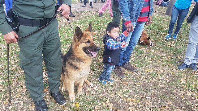 Jornada de vacunación para animales - Foto: Alcaldía de Teusaquillo